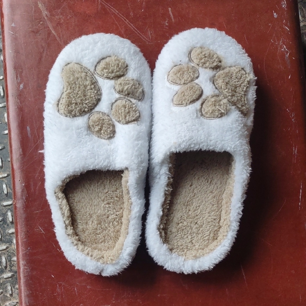 Cute Slippers